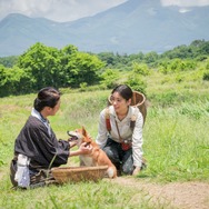 雪風 YUKIKAZE 17枚目の写真・画像