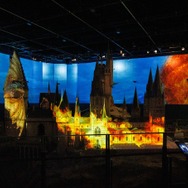 ■映画『ハリー・ポッターと炎のゴブレット』公開 20 周年記念、特別企画「炎のゴブレット」