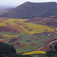 「ロケ地名所」済州島の景観を代表するオルムとは何か