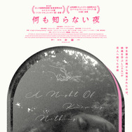 何も知らない夜 1枚目の写真・画像