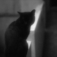 何も知らない夜 10枚目の写真・画像