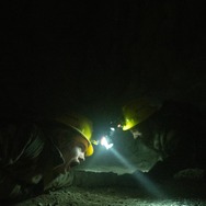 エレベーション　絶滅ライン 9枚目の写真・画像