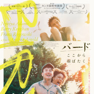 バード ここから羽ばたく 1枚目の写真・画像