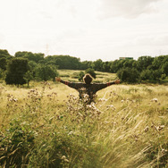 バード ここから羽ばたく 11枚目の写真・画像
