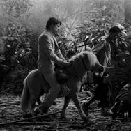 グランドツアー 10枚目の写真・画像