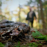 バイオレント・ネイチャー 9枚目の写真・画像