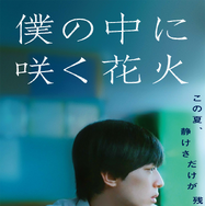 僕の中に咲く花火 1枚目の写真・画像
