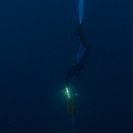 グラン・ブルー 完全版 4K 6枚目の写真・画像