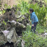 零式艦上戦闘機五二型 跡『ペリリュー －楽園のゲルニカ－』©武田一義・白泉社／2025「ペリリュー －楽園のゲルニカ－」製作委員会