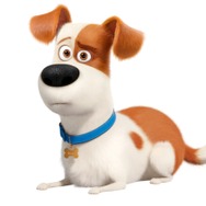 『ペット2』© 2019 Universal City Studios Production LLLP. All Rights Reserved.