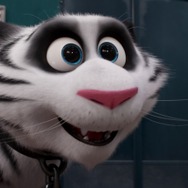 『ペット2』© 2019 Universal City Studios Production LLLP. All Rights Reserved.