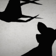 子鹿のゾンビ 13枚目の写真・画像