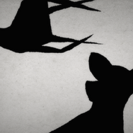 子鹿のゾンビ 13枚目の写真・画像