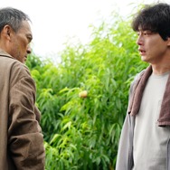 盤上の向日葵 11枚目の写真・画像