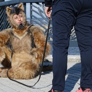 THE オリバーな犬、(Gosh!!)このヤロウ MOVIE 11枚目の写真・画像