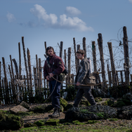 『28年後...』© 2025 28 Years Later Limited. All Rights Reserved.