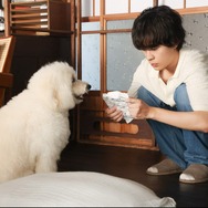 「初恋DOGs」第8話　©TBS