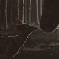 子鹿のゾンビ 16枚目の写真・画像