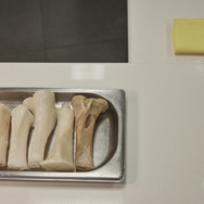 『ムガリッツ』©2024 TELEFONICA AUDIOVISUAL DIGITAL, S.L.U