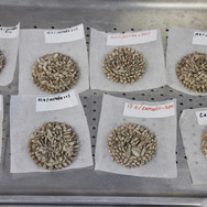 『ムガリッツ』©2024 TELEFONICA AUDIOVISUAL DIGITAL, S.L.U