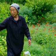 大地に詩を書くように 2枚目の写真・画像