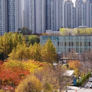 大地に詩を書くように 6枚目の写真・画像