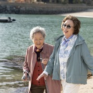 最後のピクニック 13枚目の写真・画像