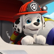 ラブル＆クルー IN シアター 15枚目の写真・画像