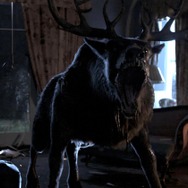 子鹿のゾンビ 19枚目の写真・画像