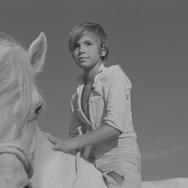 ⽩い⾺ 4K 2枚目の写真・画像