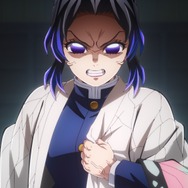 鬼滅の刃 無限城編 胡蝶しのぶ 鬼滅の刃」無限城編、胡蝶しのぶVS童磨の戦い収めた“決戦CM”第2