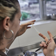 ムガリッツ 19枚目の写真・画像