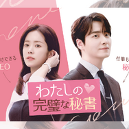 ハン・ジミン×イ・ジュニョク主演の癒しラブコメディ『わたしの完璧な秘書』第1、2話を無料公開！
