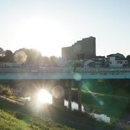 平場の月 12枚目の写真・画像