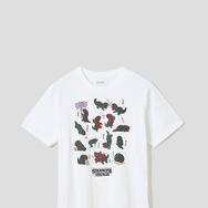 Ｔシャツ ¥3,500