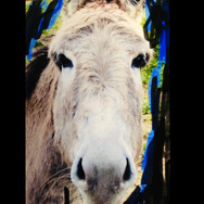 『シナリオ』』© Écran noir productions - Arte France - Nekojarashi/Roadstead