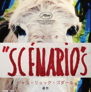 『シナリオ』© Écran noir productions - Arte France - Nekojarashi/Roadstead