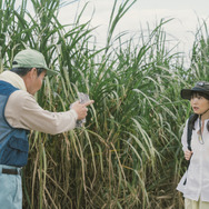 『風のマジム』©2025 映画「風のマジム」