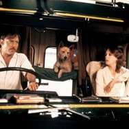 『ロードゲーム』©️1981 QUEST FILMS PTY.. LTD.