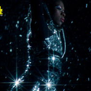 ユニバーサル・ランゲージ 12枚目の写真・画像