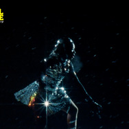 ユニバーサル・ランゲージ 13枚目の写真・画像