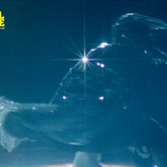 ユニバーサル・ランゲージ 15枚目の写真・画像