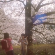 秒速5センチメートル（2025） 10枚目の写真・画像