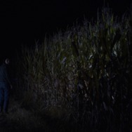 ハッパーズ・コメット 6枚目の写真・画像