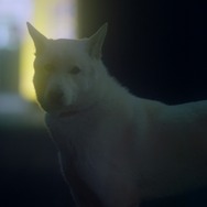 君と私 20枚目の写真・画像