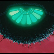 天使のたまご 4Kリマスター 7枚目の写真・画像