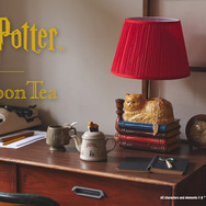 Afternoon Tea LIVING All characters and elements © & ™ Warner Bros. Entertainment Inc. Publishing Rights © JKR. (s25)