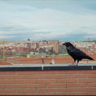 『サムシング・ハプンズ・トゥ・ミー』©UNA PRODUCCIÓN DE QUE NADIE DUERMA AIE - AVANPOST