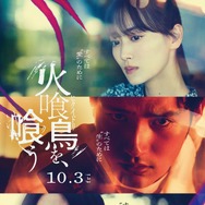 火喰鳥を、喰う 20枚目の写真・画像