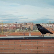 サムシング・ハプンズ・トゥ・ミー 12枚目の写真・画像